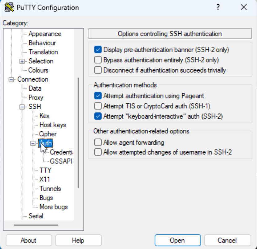 Screenshot of PuTTy configuration