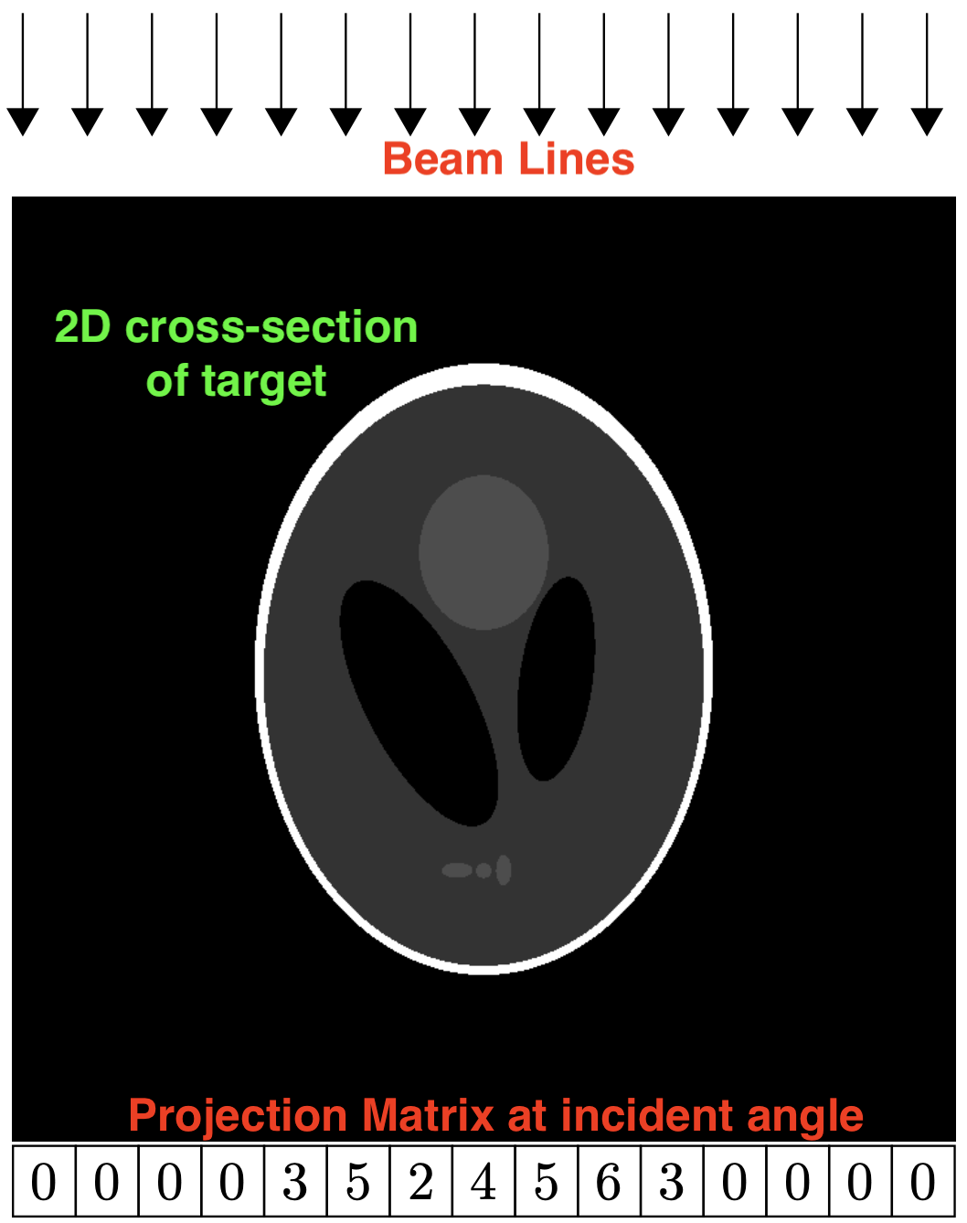 Beam lines applied to reconstructed image and producing projection matrix